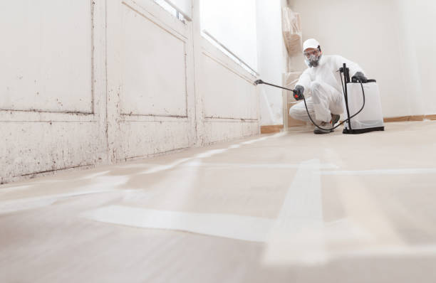 24/7 Emergency Black Mold Removal experts in McHenry, MD